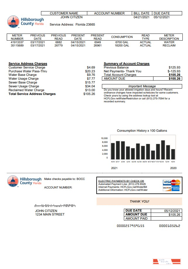 USA Hillsborough County utility bill template in Word and PDF format